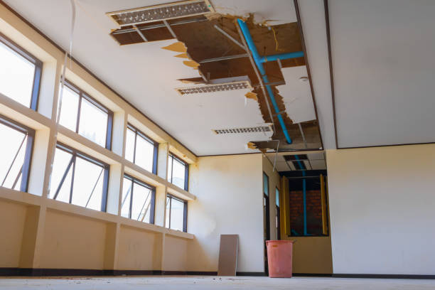Best 24-hour water damage restoration  in Laverne, OK