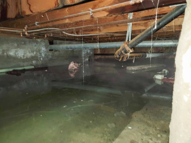 Best Water damage restoration near me  in Laverne, OK
