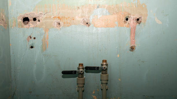 Best Flooded house restoration  in Laverne, OK