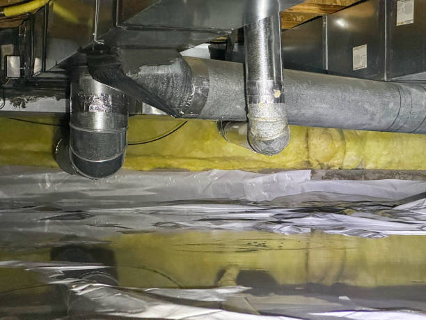 Best Water damage contractors near me  in Laverne, OK