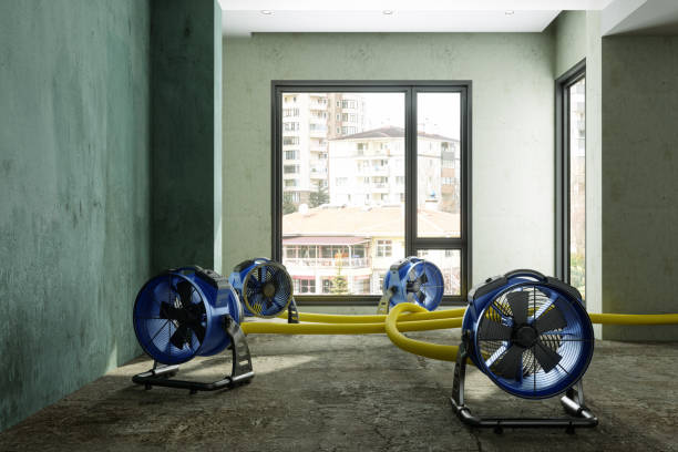 Best Commercial water damage restoration  in Laverne, OK